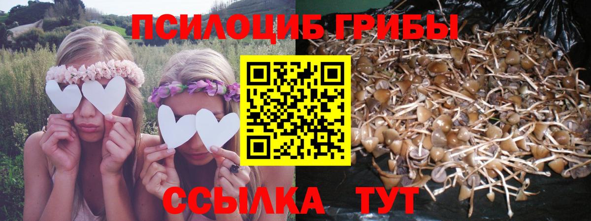 Галлюциногенные грибы мицелий  Вход с VPN  Галлюциногенные грибы Psilocybine cubensis  Екатеринбург 
